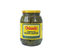 Orlando Grape Leaves